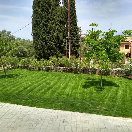 Pensjonat Gogles House Agioi Deka  Zewnętrze zdjęcie